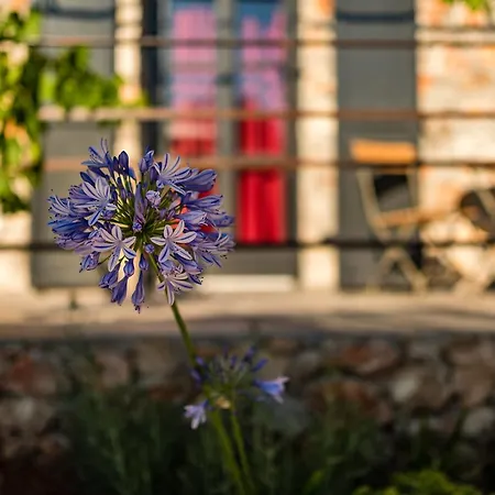 Bed & Breakfast North Point