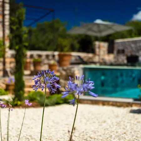 North Point Bed & Breakfast 4*